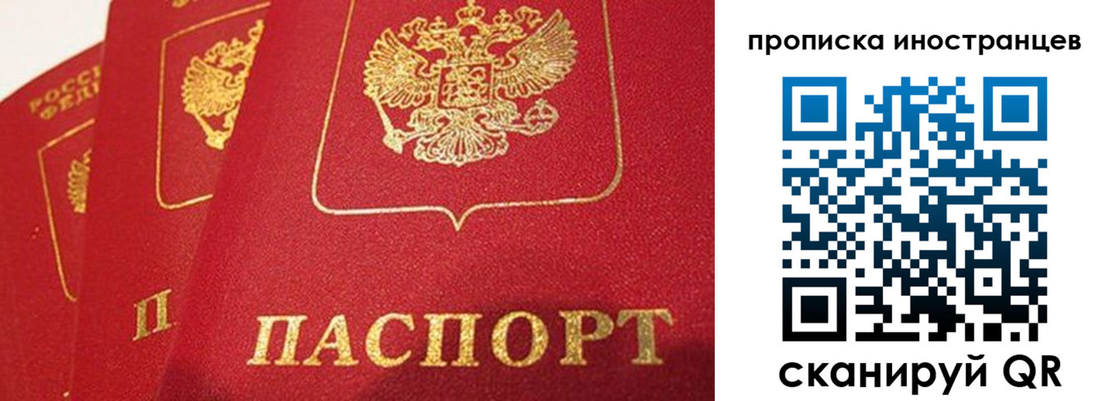 прописка поиск в Дудинке